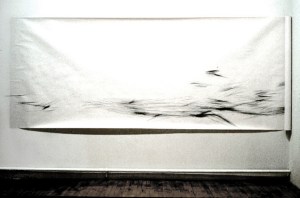 The Gathering of Evidence